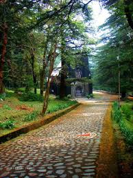 Things To Do In Mcleodganj