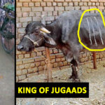 Indians Are The King Of Jugaads
